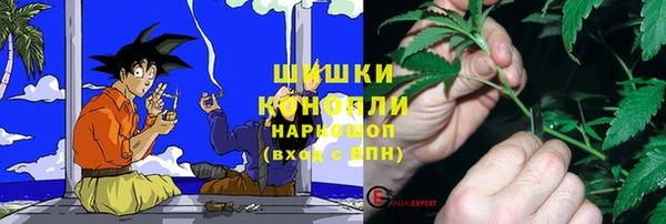 стаф Аркадак