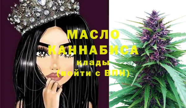 стаф Аркадак