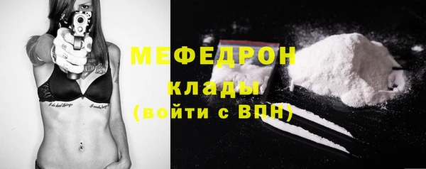 стаф Аркадак