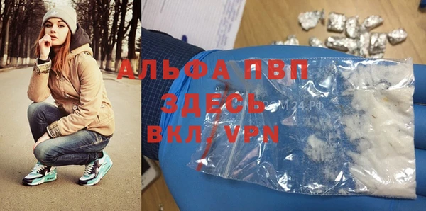 стаф Аркадак