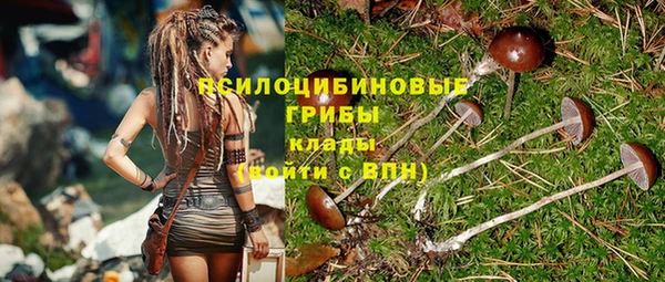каннабис Арсеньев
