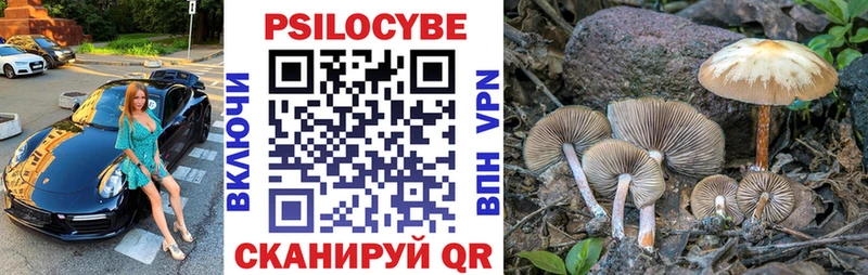 Псилоцибиновые грибы мицелий  Купить закладки  Холм 